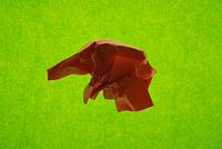 Groen oranje