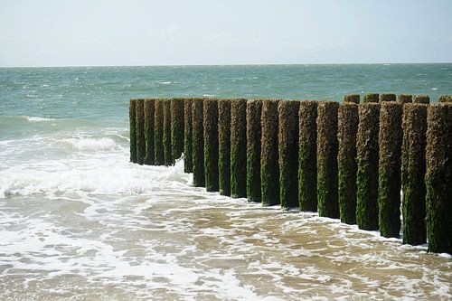 Strand van Burgh Haamstede