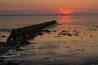  Wad vuur