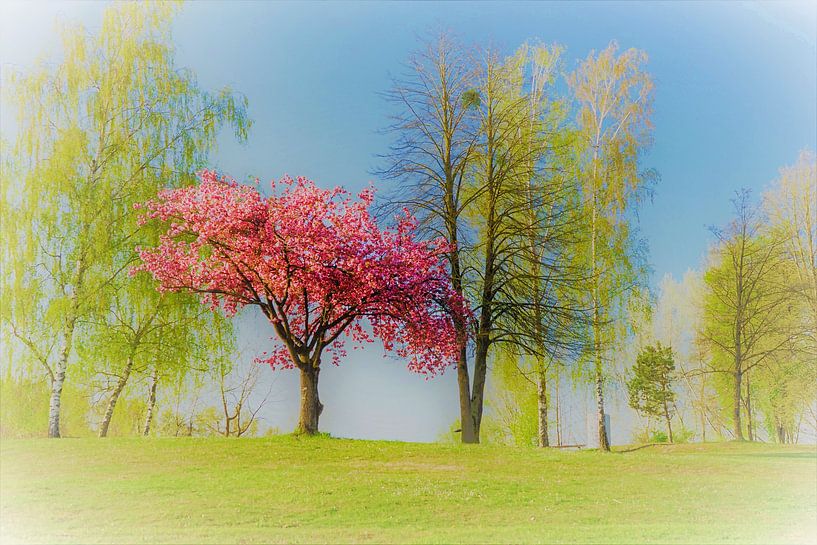Blühender Baum von Johann Hübler