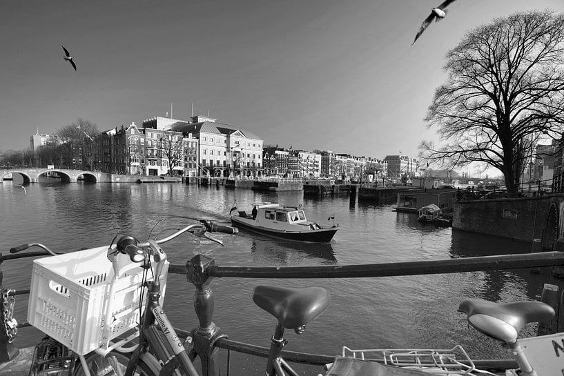 Amsterdam meeuwen (zwart-wit) van Rob Blok