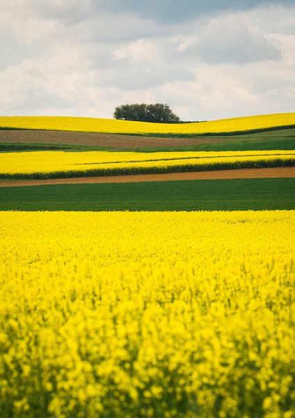 Rolling hills by Loris Photography