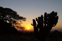 Landschap van Gerealta Ethiopia ondergaande zon