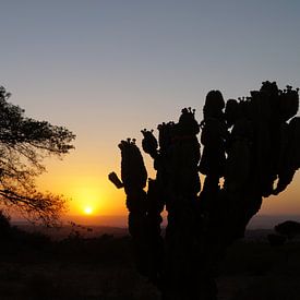 Landschap van Gerealta Ethiopia ondergaande zon van Colette Vester