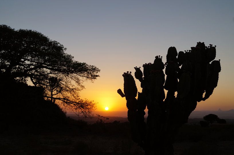 Landschap van Gerealta Ethiopia ondergaande zon von Colette Vester