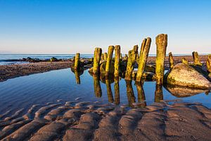 Buhnen an der Küste der Ostsee bei Kühlungsborn
