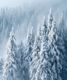 Romantic winter landscape