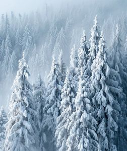 Romantische Winterlandschaft