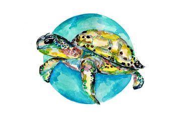Groene schildpad en blauwe cirkel van Sebastian Grafmann