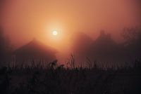 Fog in the village