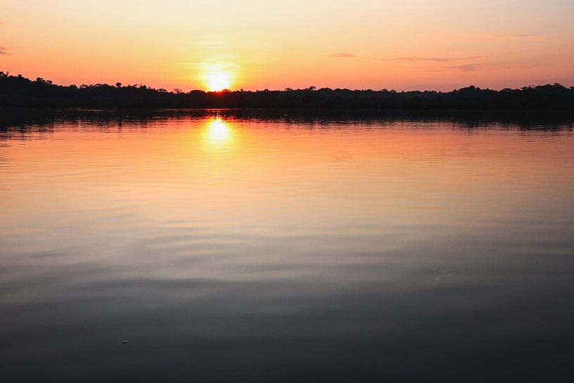 Laguna grande (Amazone Ecuador) von Julie Van De Velde