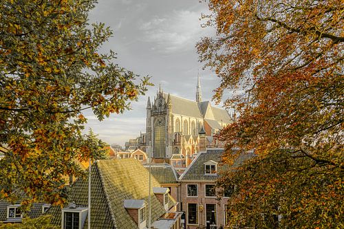 Leiden op zijn mooist!