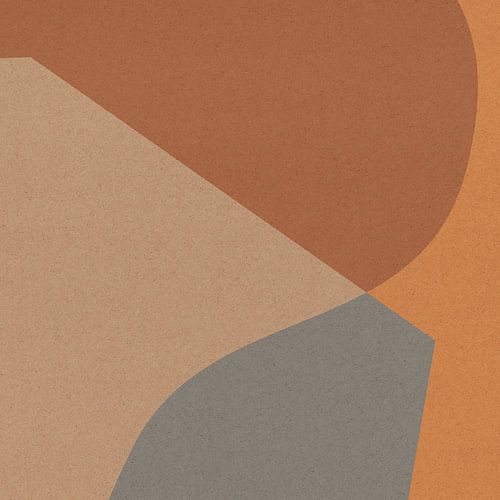 Abstracte organische en geometrische vormen nr. 4