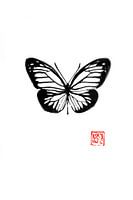 papillon