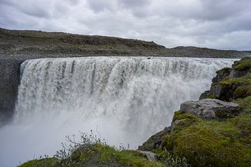 Island - Moosbewachsene grüne Steine am magischen Detifoss-Wasserfall von adventure-photos