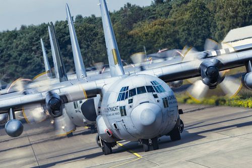 La file d'Hercule au cours de la visite du jardin maraîcher