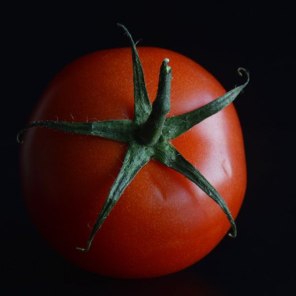 tomaat van Fraukje Vonk