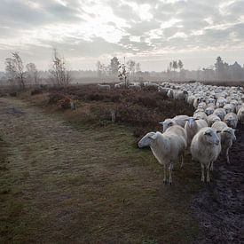 Unterwegs von Marc Baars