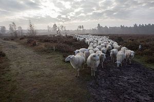 Op  weg van Marc Baars