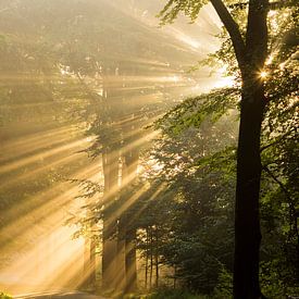 Lever de soleil sur André Dorst