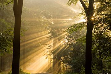 Lever de soleil sur André Dorst