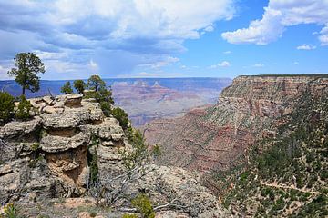 View of the Grand Canyon Arizona America by My Footprints