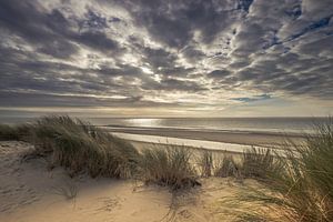 Les dunes sur Ameland