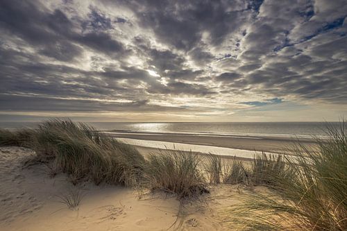 De duinen op Ameland