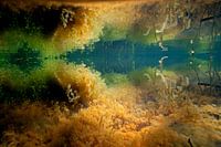 Jump head with iron warp