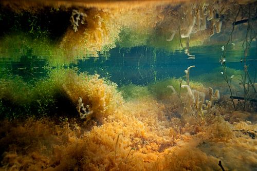 Sprengkop met ijzerkwel