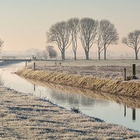 Bevroren polderlandschap op een vroege ochtend van Haarms