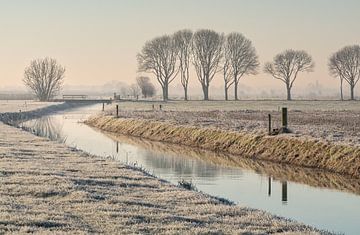 Paysage de polder gelé au petit matin sur Haarms