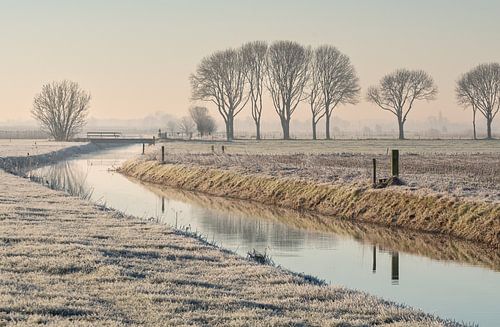 Gefrorene Polderlandschaft an einem frühen Morgen