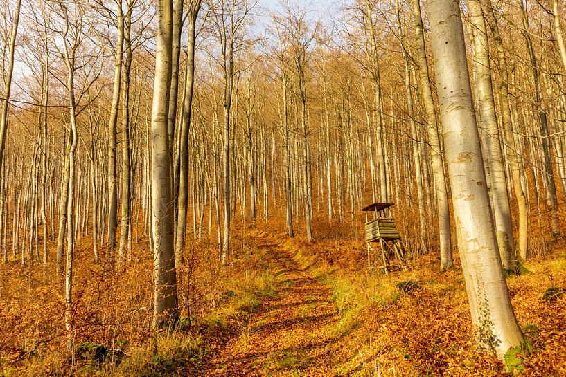 Winterwanderung durch die schöne Vorderrhön von Oliver Hlavaty