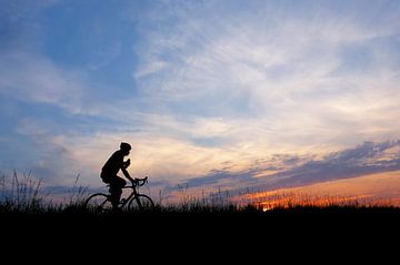 Radfahrer auf dem Deich (Radfahrer) von Caroline Lichthart