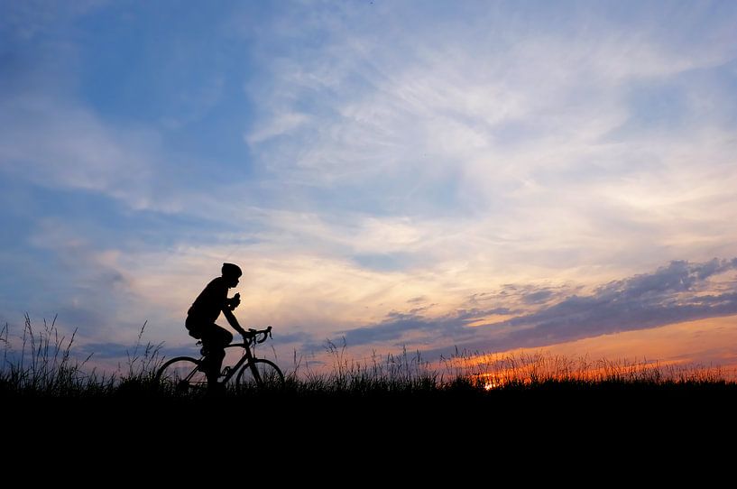 Radfahrer auf dem Deich (Radfahrer) von Caroline Lichthart