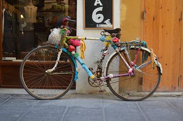 Vrolijke fiets van Ingrid Bargeman