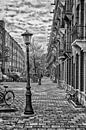 The Cornelis Trooststraat in Amsterdam. by Don Fonzarelli thumbnail
