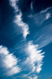 Abgenutzt von Anita Hermans