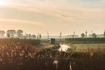 vroege ochtend bij de fruitkweker van Tania Perneel