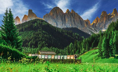 Hanging laundry among the mountains of the Dolomites by Ralf van de Veerdonk