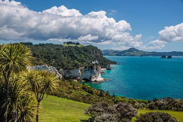 Coast near Hahei, New Zealand by Christian Müringer