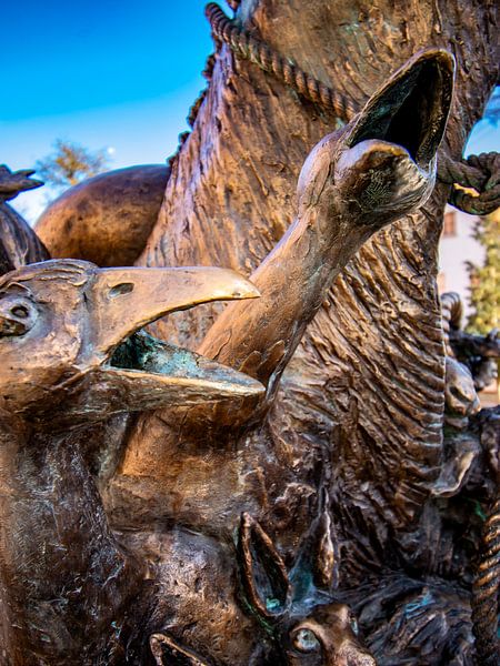 BADEN-WÜRTTEMBERG : Am Viehmarkt Ehingen von Photoart-Naegele
