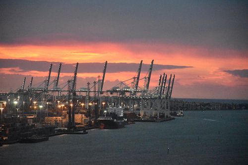 Een zomerochtend in de haven