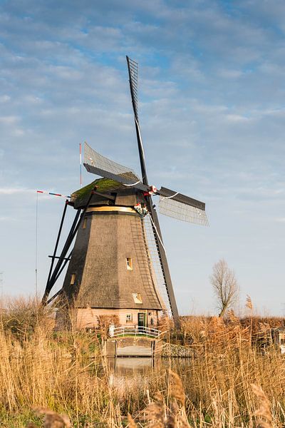 windmills in Kinderdijk Holland by ChrisWillemsen