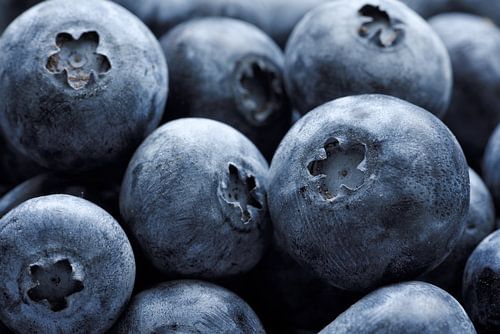 Blaubeeren zum Greifen nah... Was der Garten zu bieten hat...