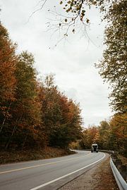 Herfstkleuren – Fall Foliage USA