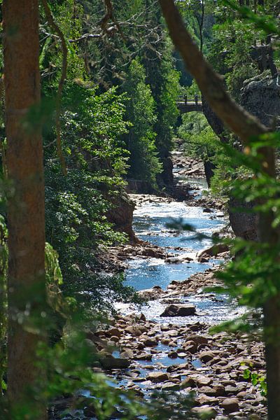 The Halgå River by Frank's Awesome Travels