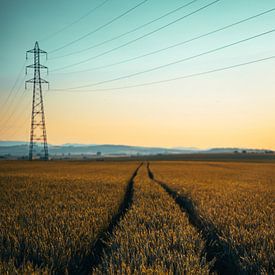 platteland met electriciteitsmasten van Stadspronk