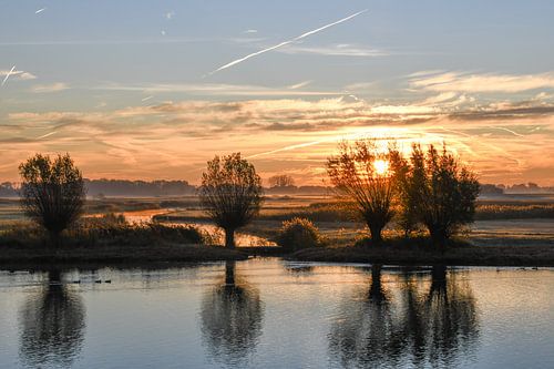 Lever de soleil sur l'Eau Noire